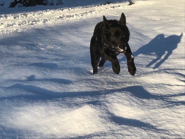 Snow jumper