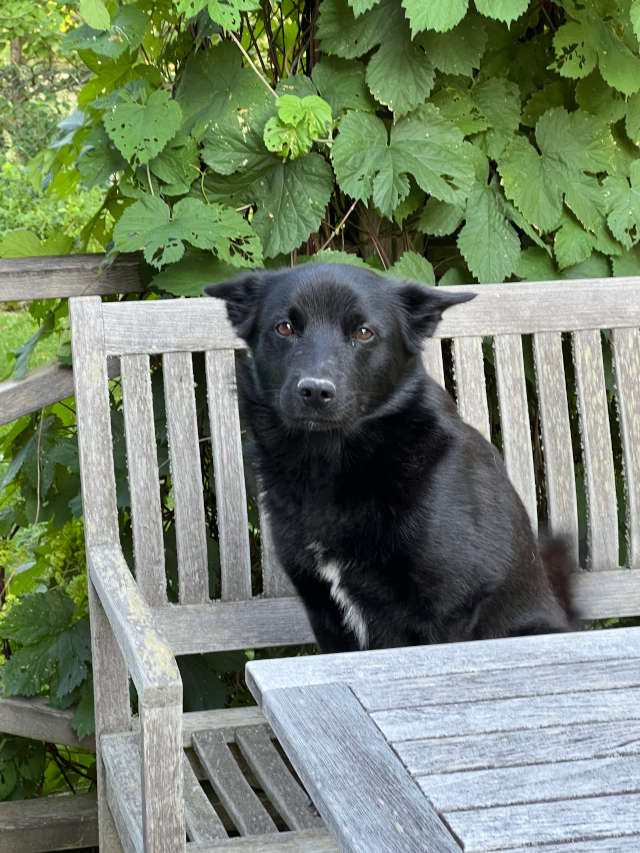 On the chair